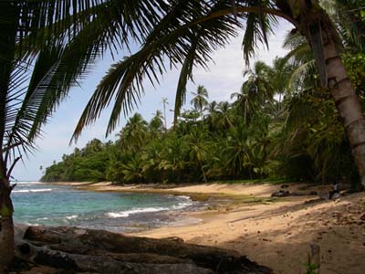 english teaching costa rica