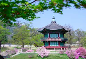 teach english in korea