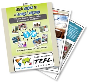 english teaching brochure