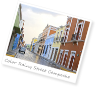 mexico tefl tesol celta training