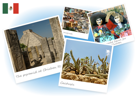 mexico tefl tesol certification course