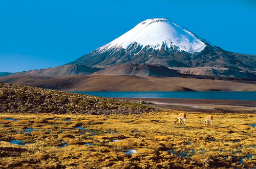 teach english chile chungara lake