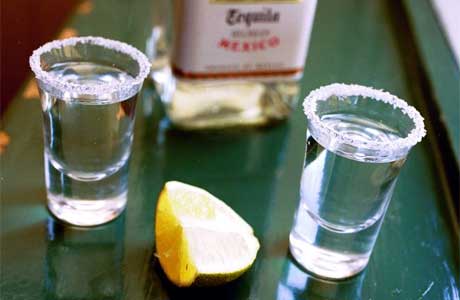 Mexico-Teach-Abroad-Tequila
