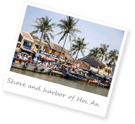 tesol tefl courses vietnam