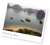 english teaching vietnam tefl certification
