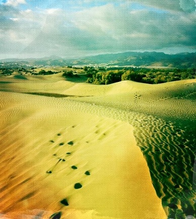 Canary Islands