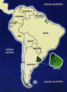 Top 5 Highlights of Teaching English in Uruguay, South America