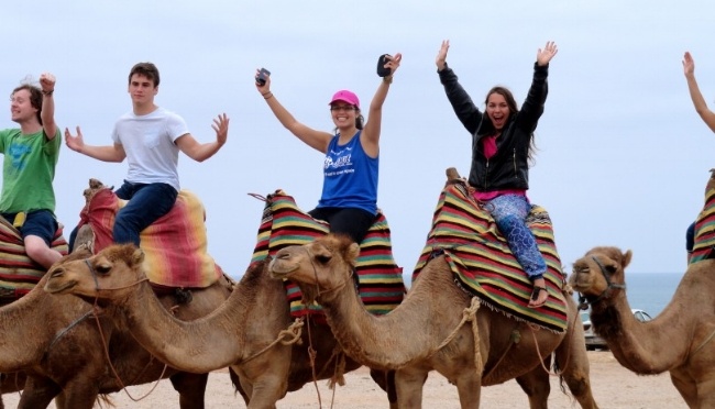 650-Turkey-camels.jpg
