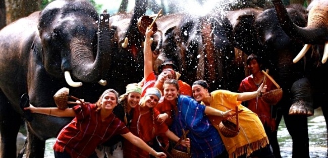 650ChaingMai2-thailand-jessie-elephants-667016-edited-650.jpg