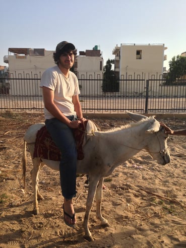 Adam Lucente - Erbil, Iraq - Donkey