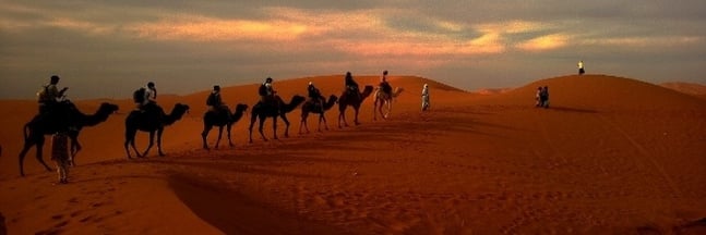 caravan-middle-east-saudi-desert-camel-650.jpg