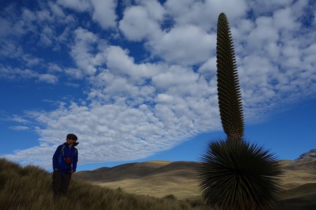 Teach English in Peru Teach English in Peru