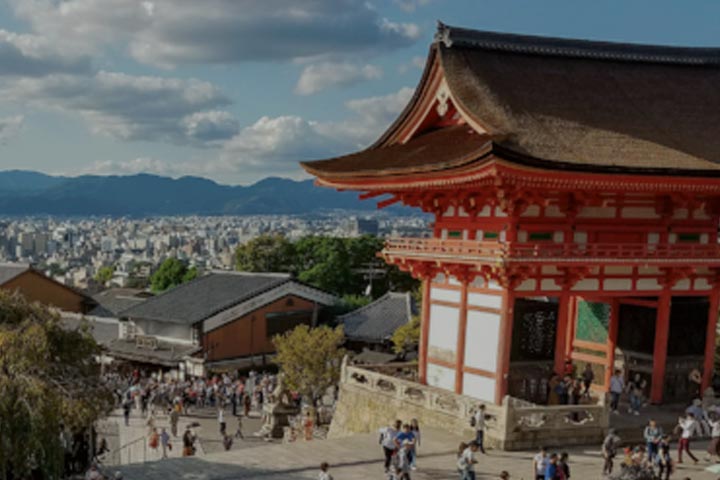 Explore Japanese history and culture