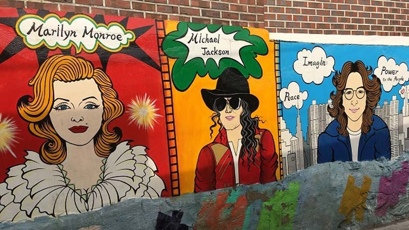 Teaching English South Korea pets cats dogs