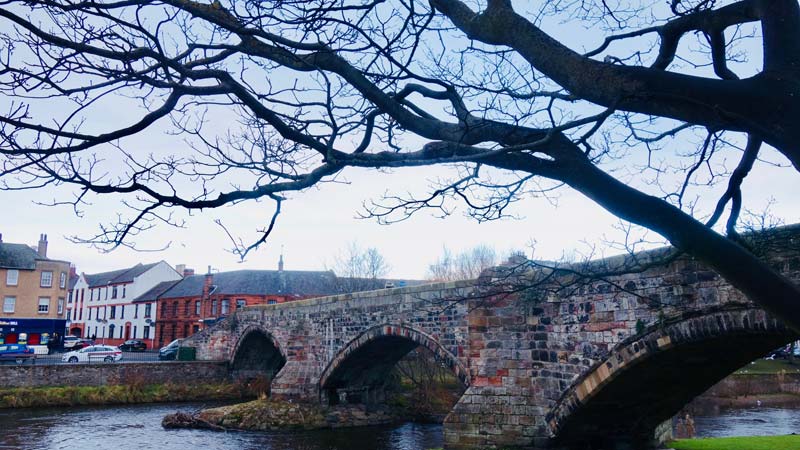 House Sit & Teach English Online 